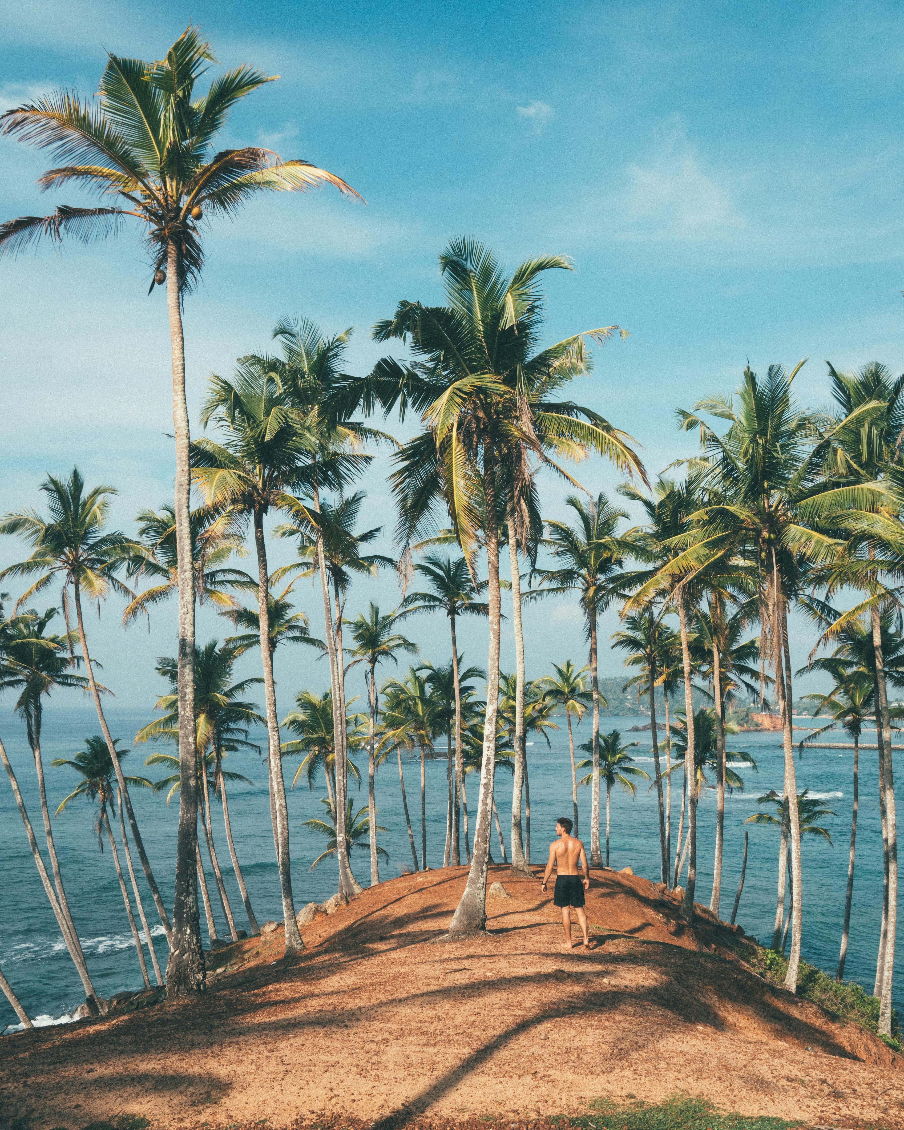 Mirissa Beach Island