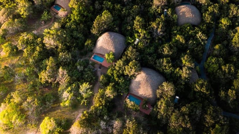 Luxury Meets Nature: Best Eco-Resorts in Sri Lanka