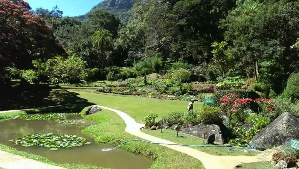 Nuwara Eliya - Image 2