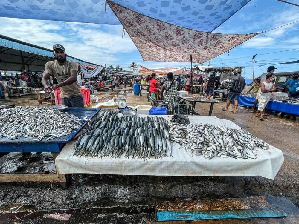 Negombo - Image 3